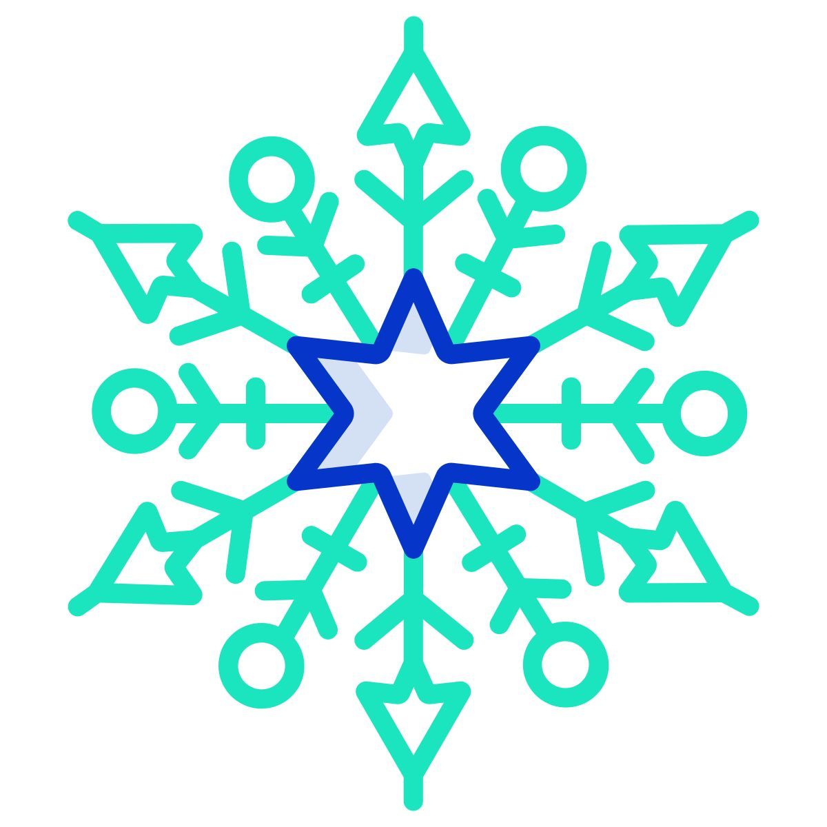 snowflake icon