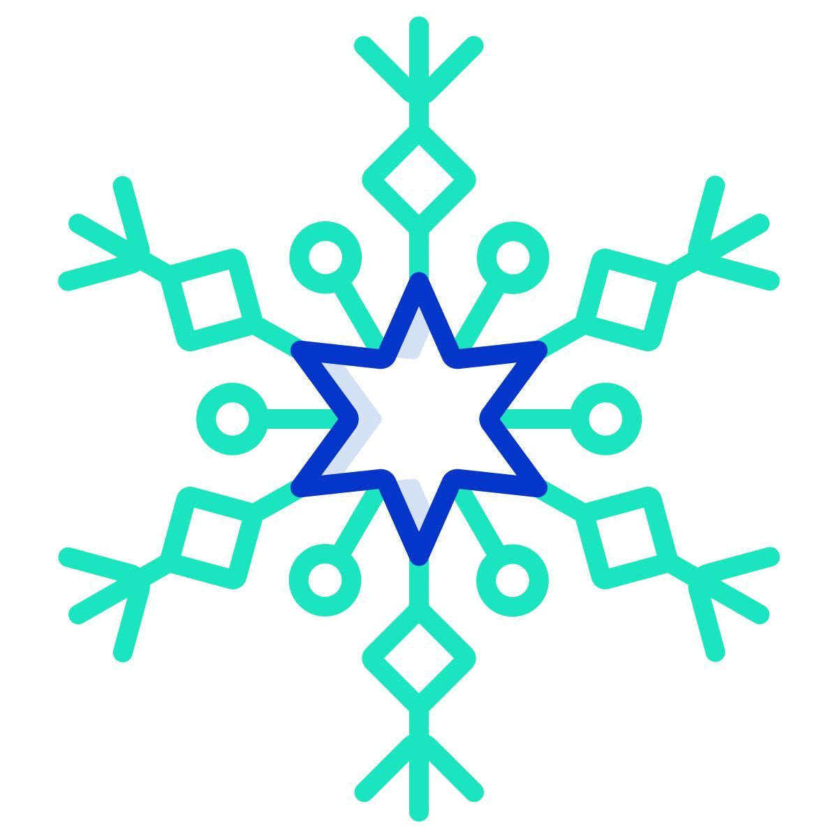 snowflake icon