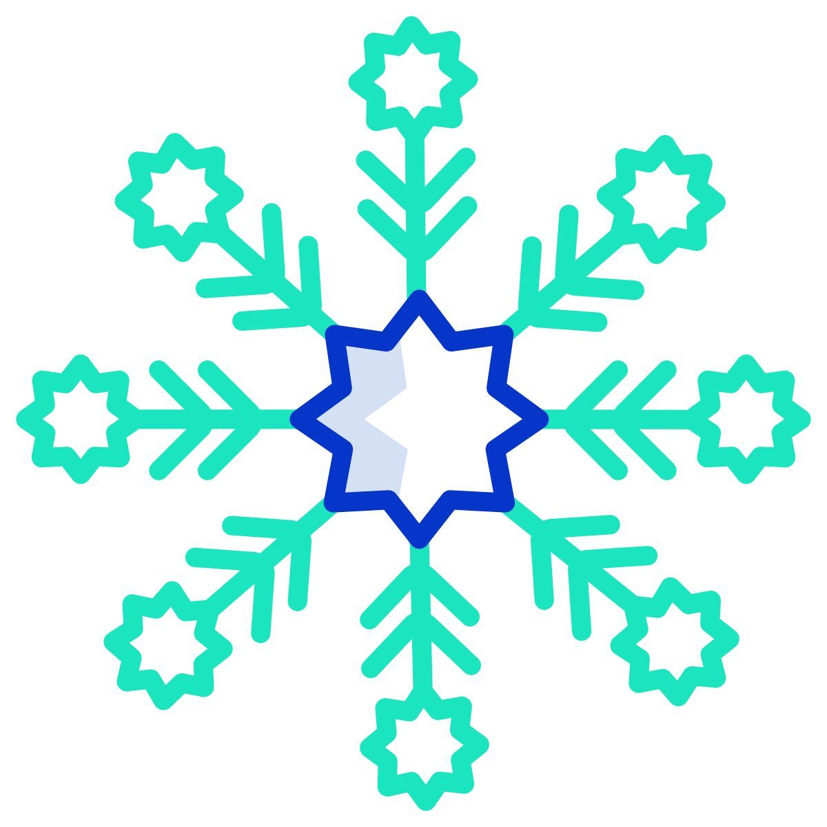 snowflake icon