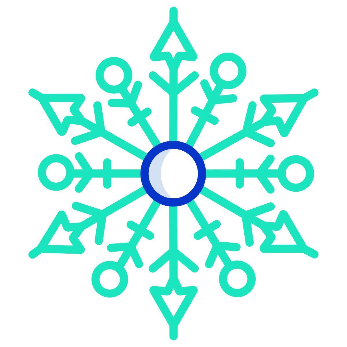 snowflake icon