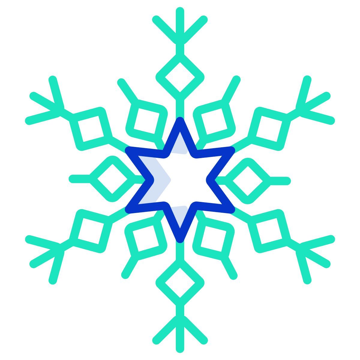 snowflake icon