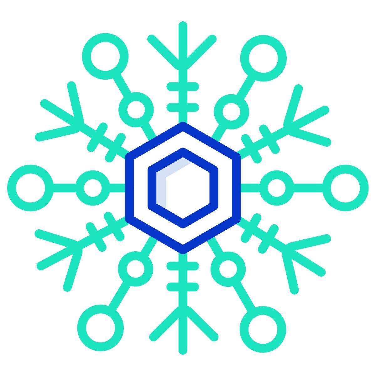 snowflake icon