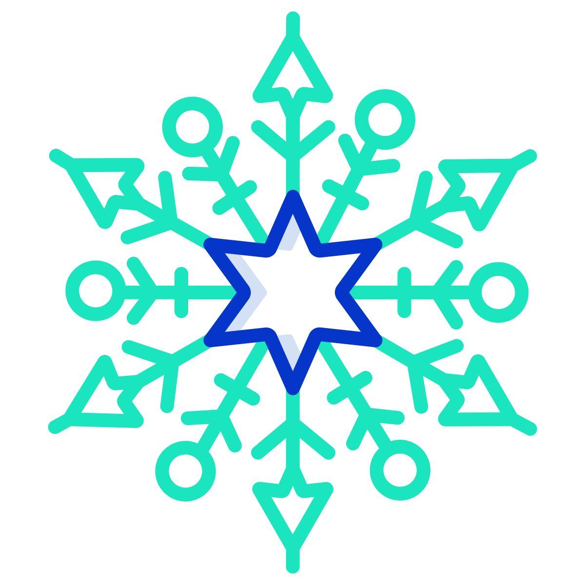 snowflake icon
