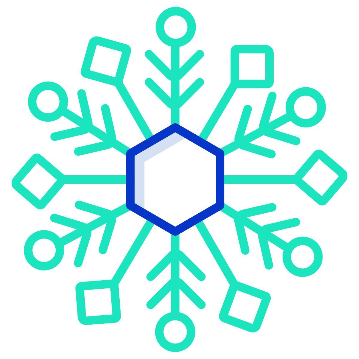 snowflake icon