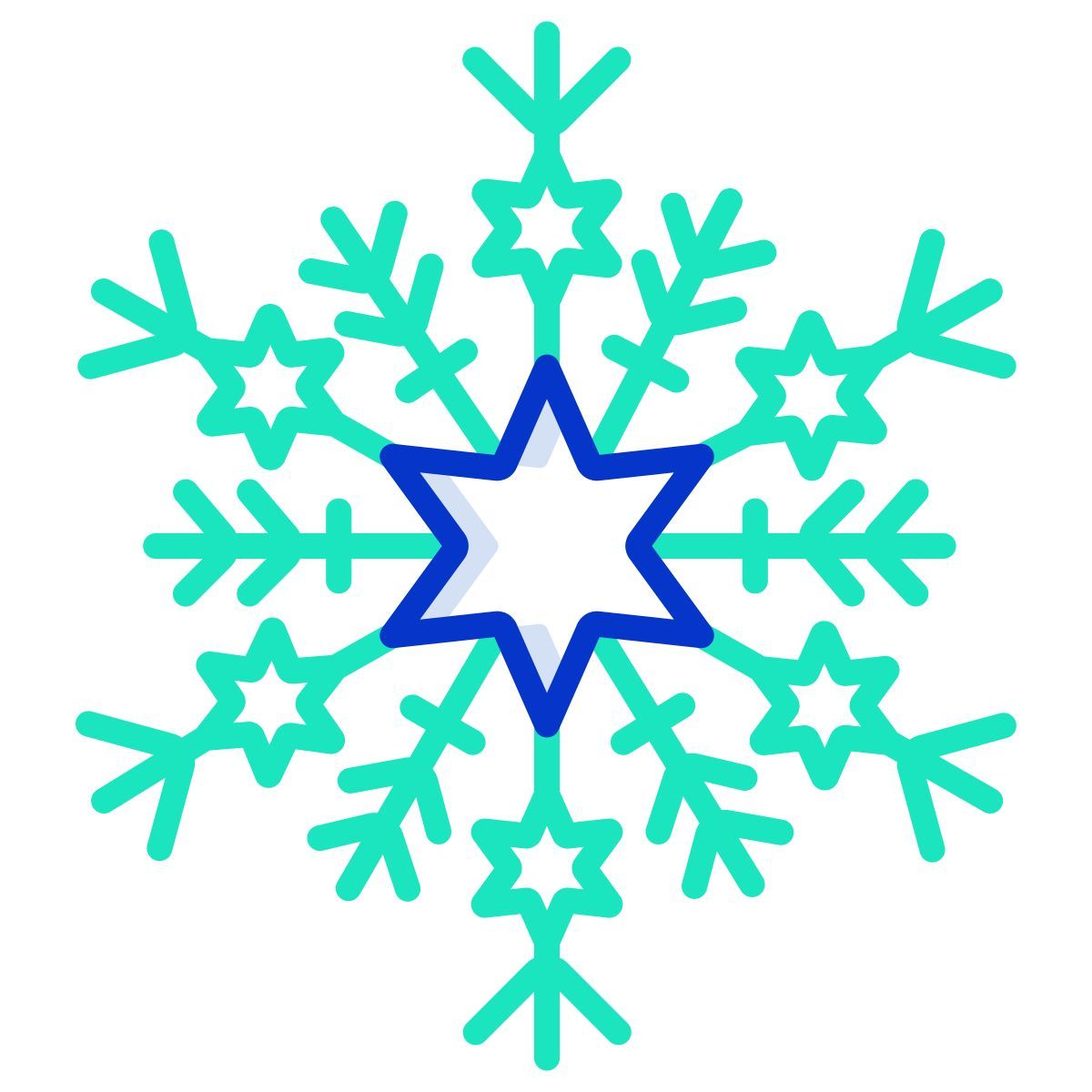 snowflake icon