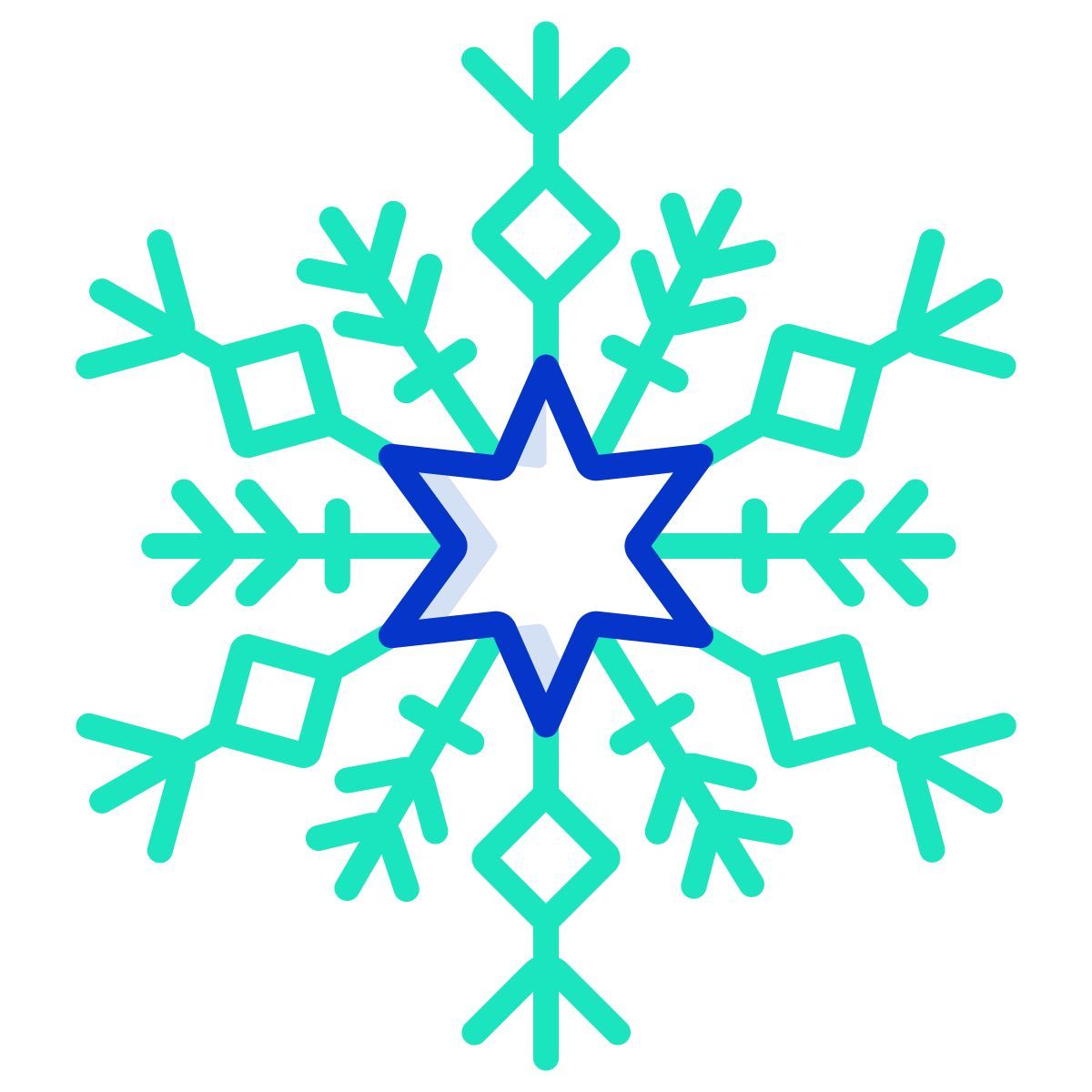 snowflake icon