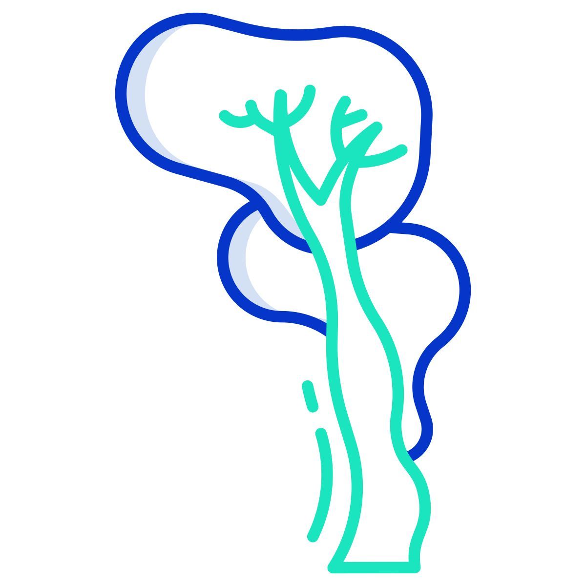 tree icon
