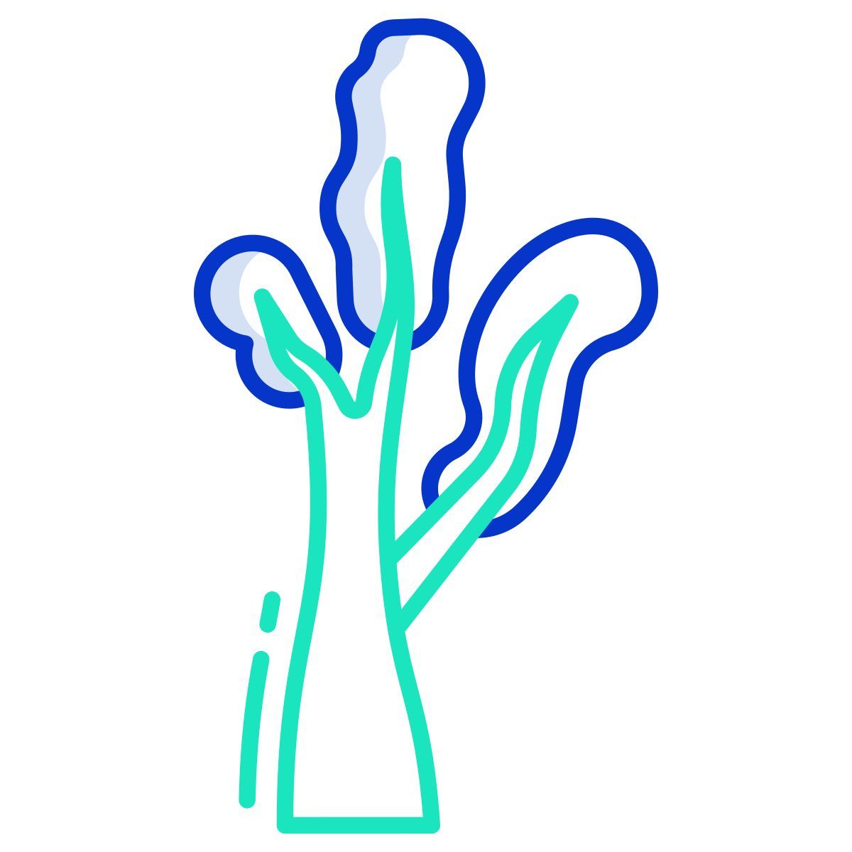tree icon