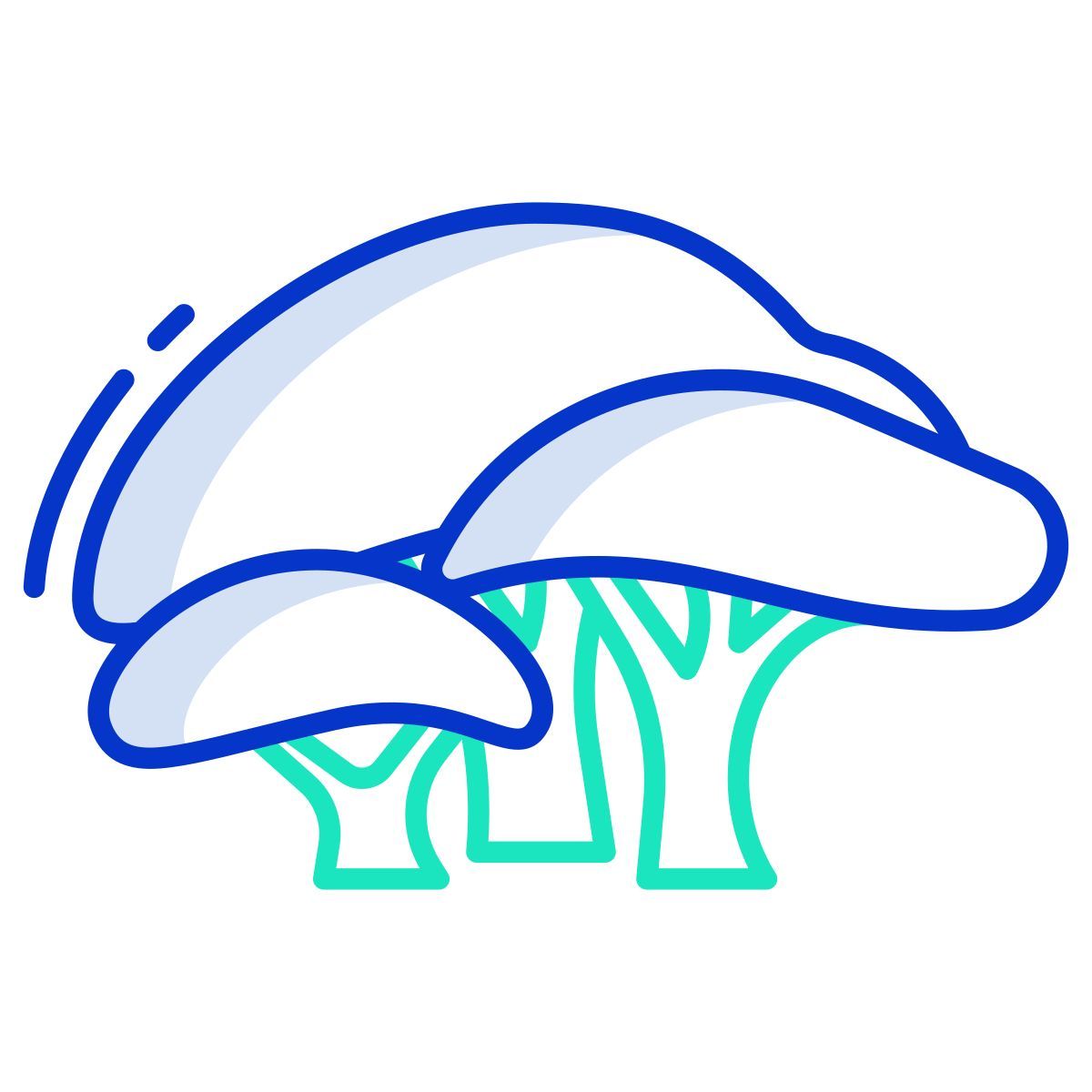 tree icon