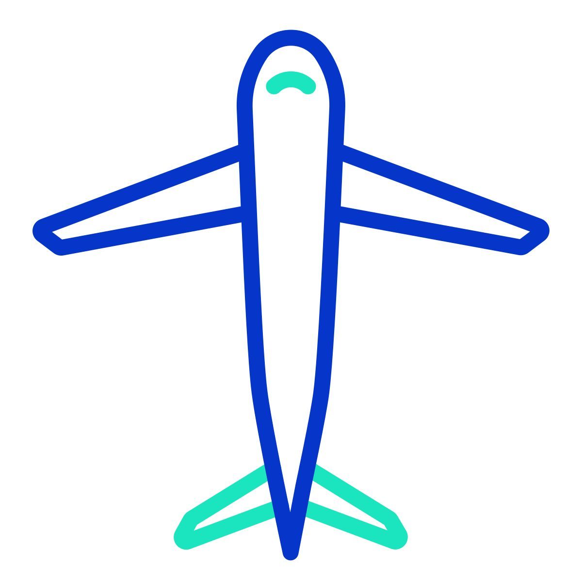 airplane icon
