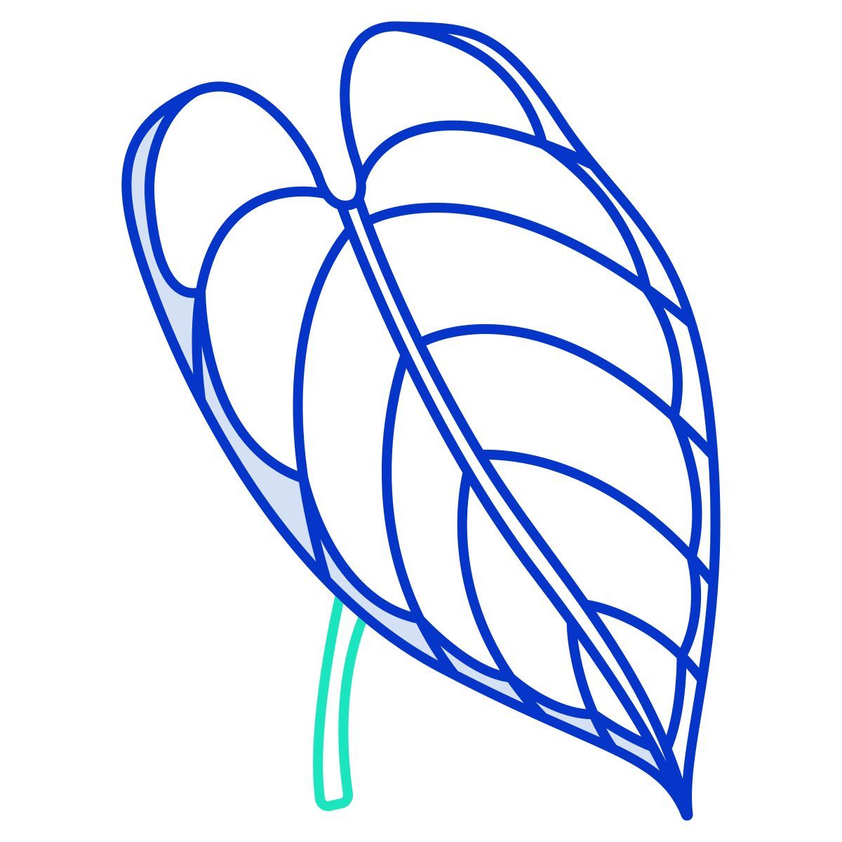 antúrio icon