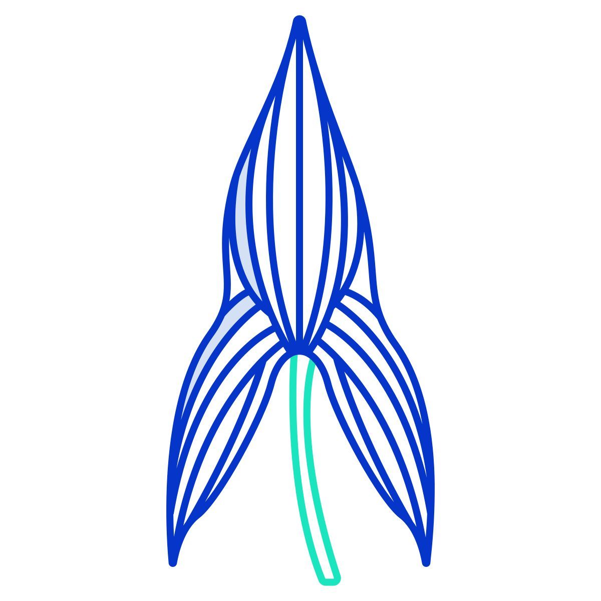 arrow head icon