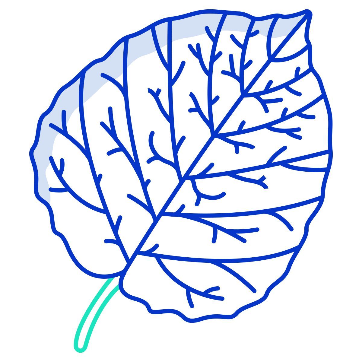 álamo tremedor icon