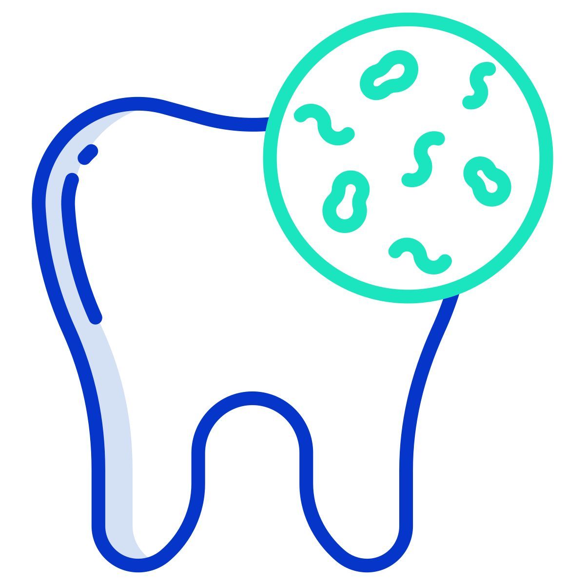 bacteria icon