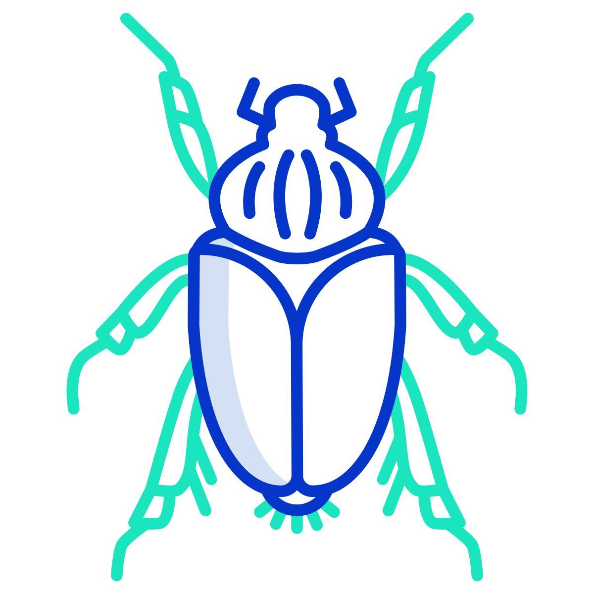 beetle icon
