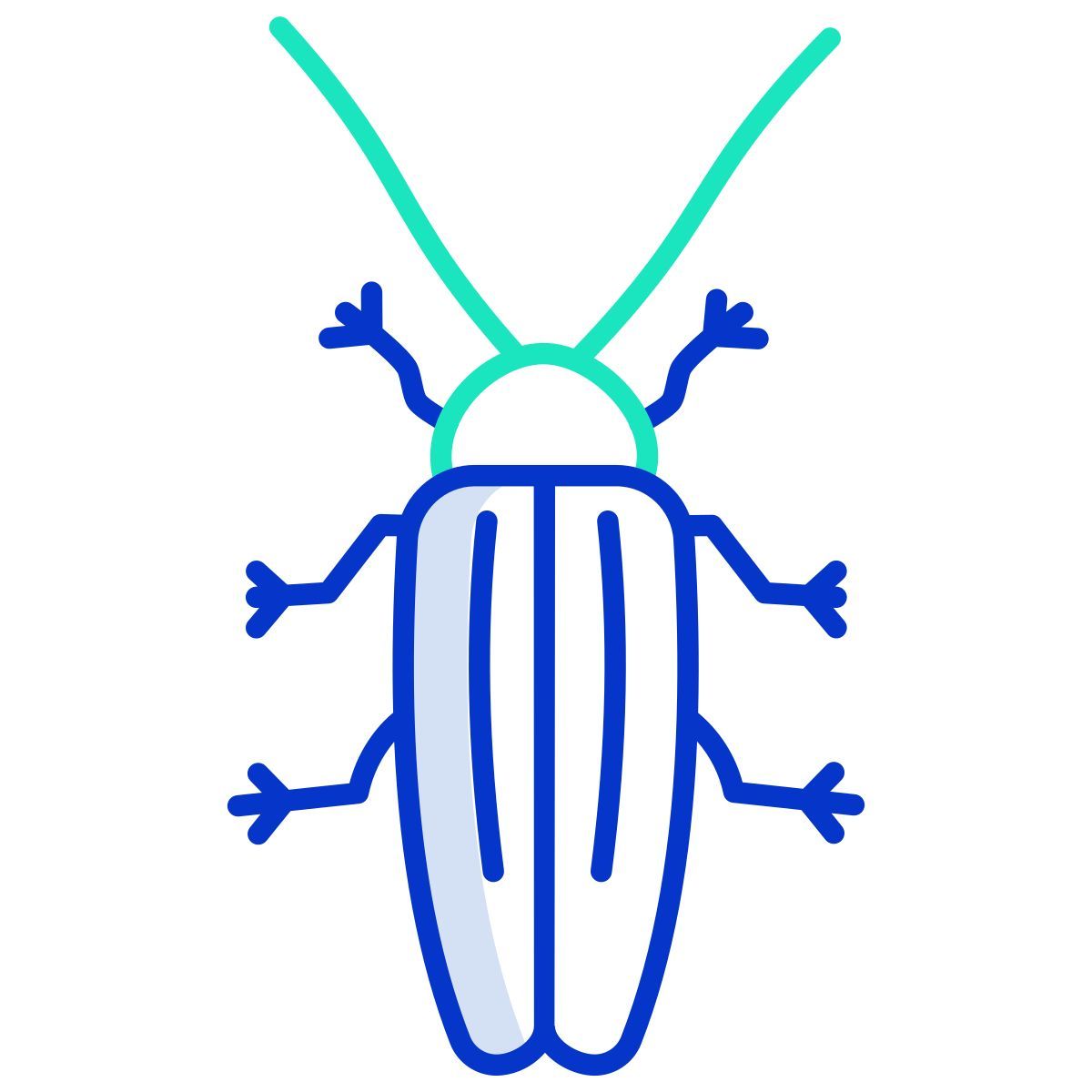 beetle icon