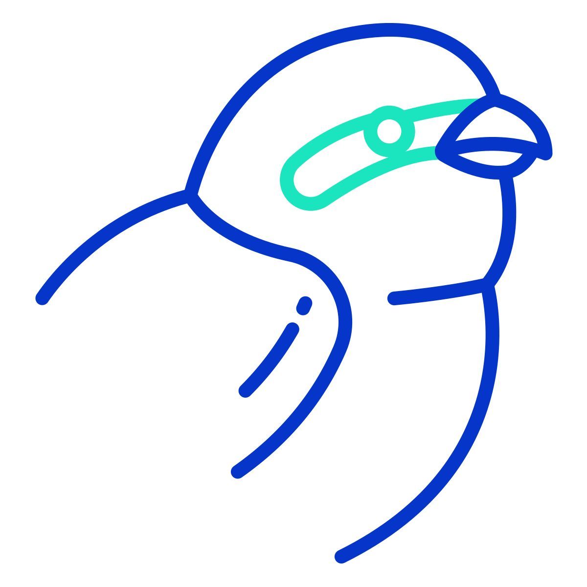 bird icon