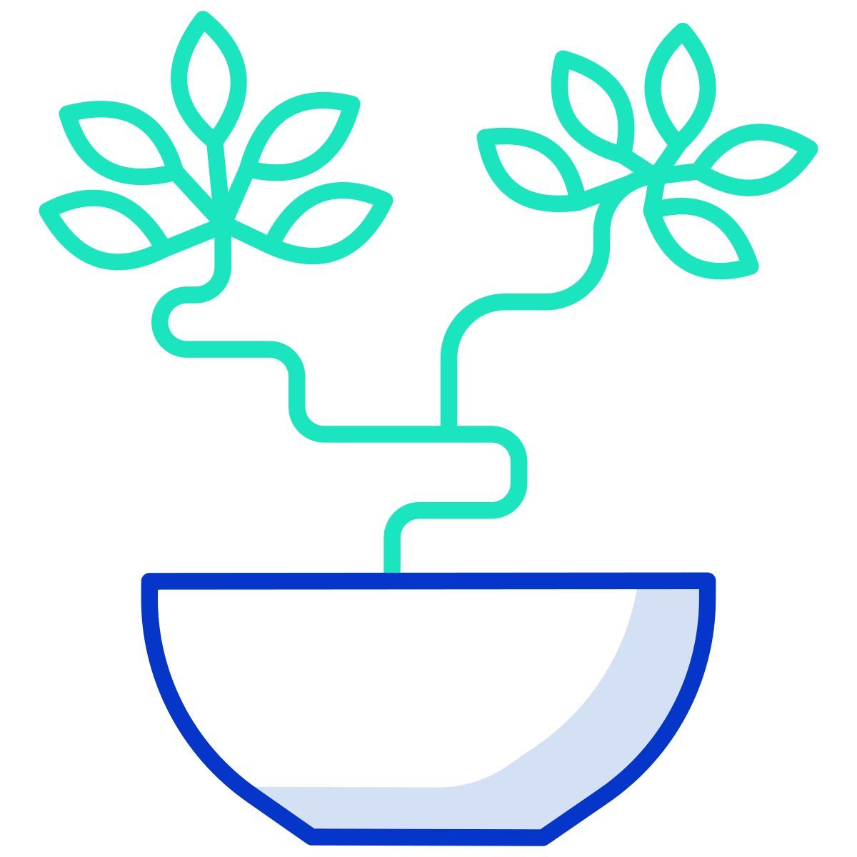 bonsai icon