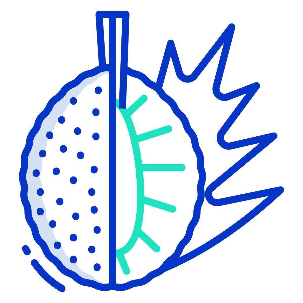 breadfruit icon