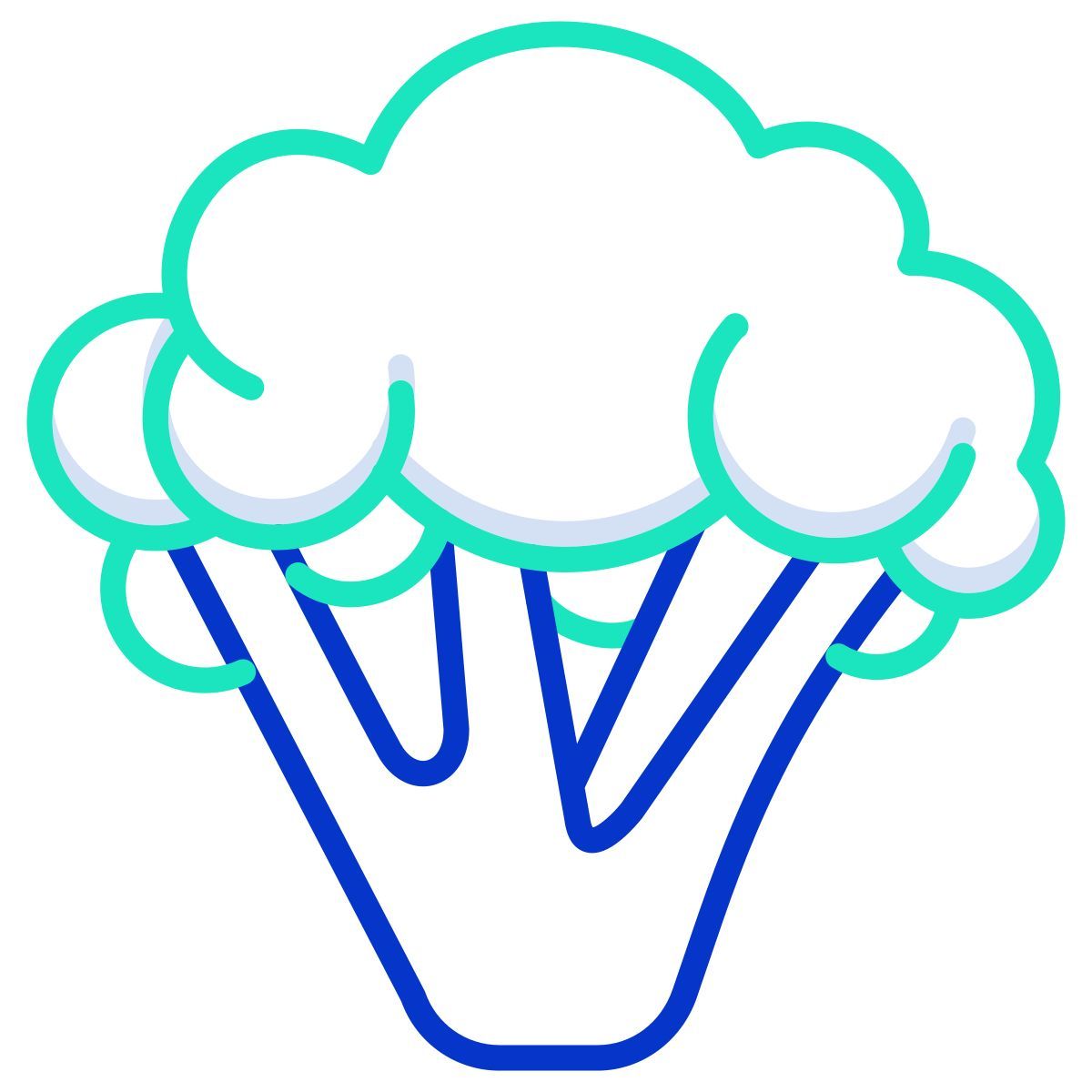 broccoli icon