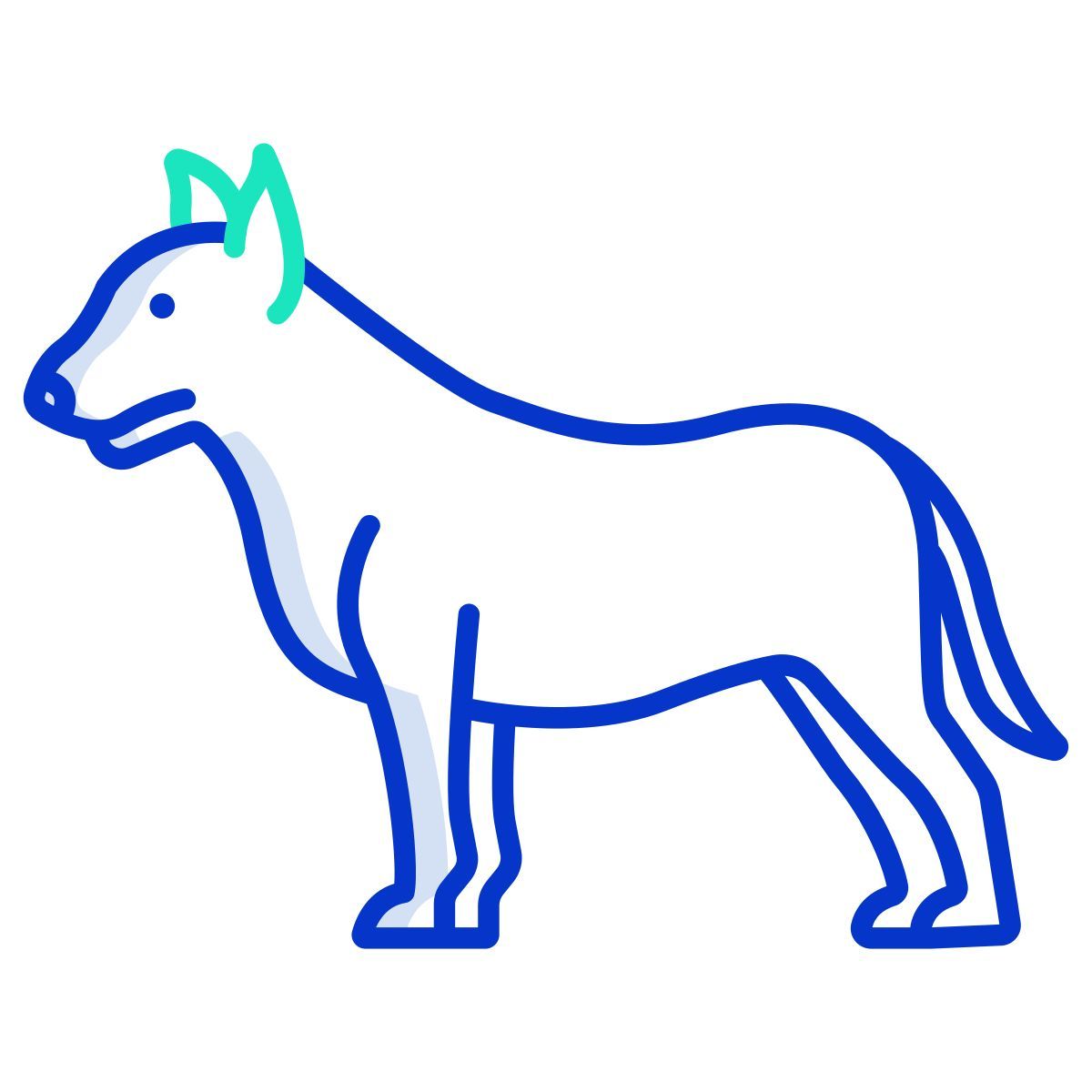 bull terrier icon