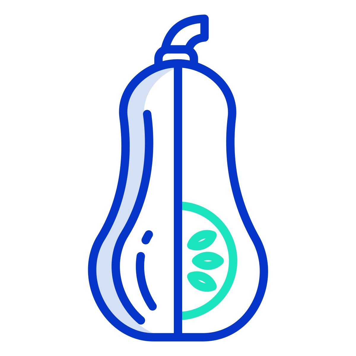 butternut squash icon