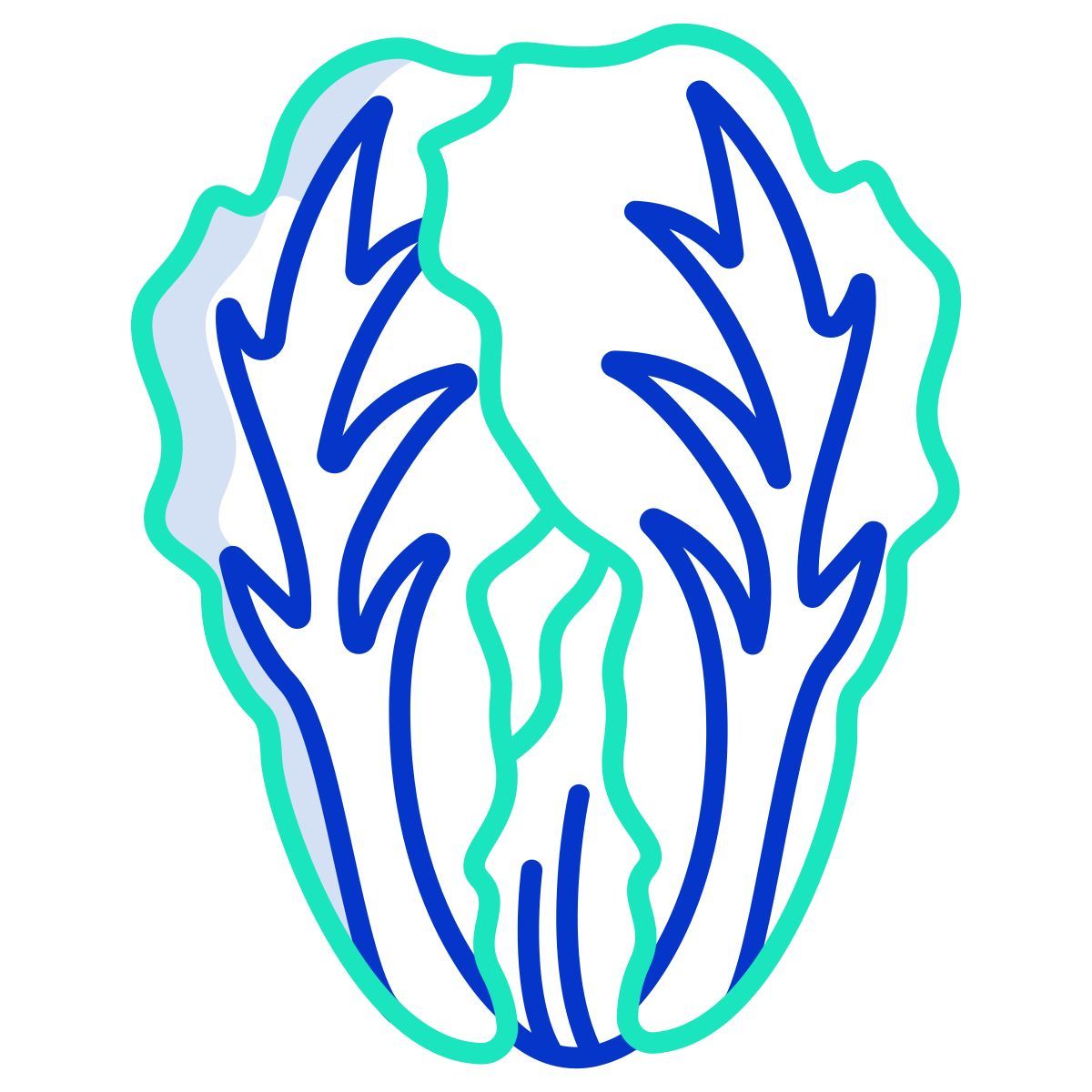 cabbage icon