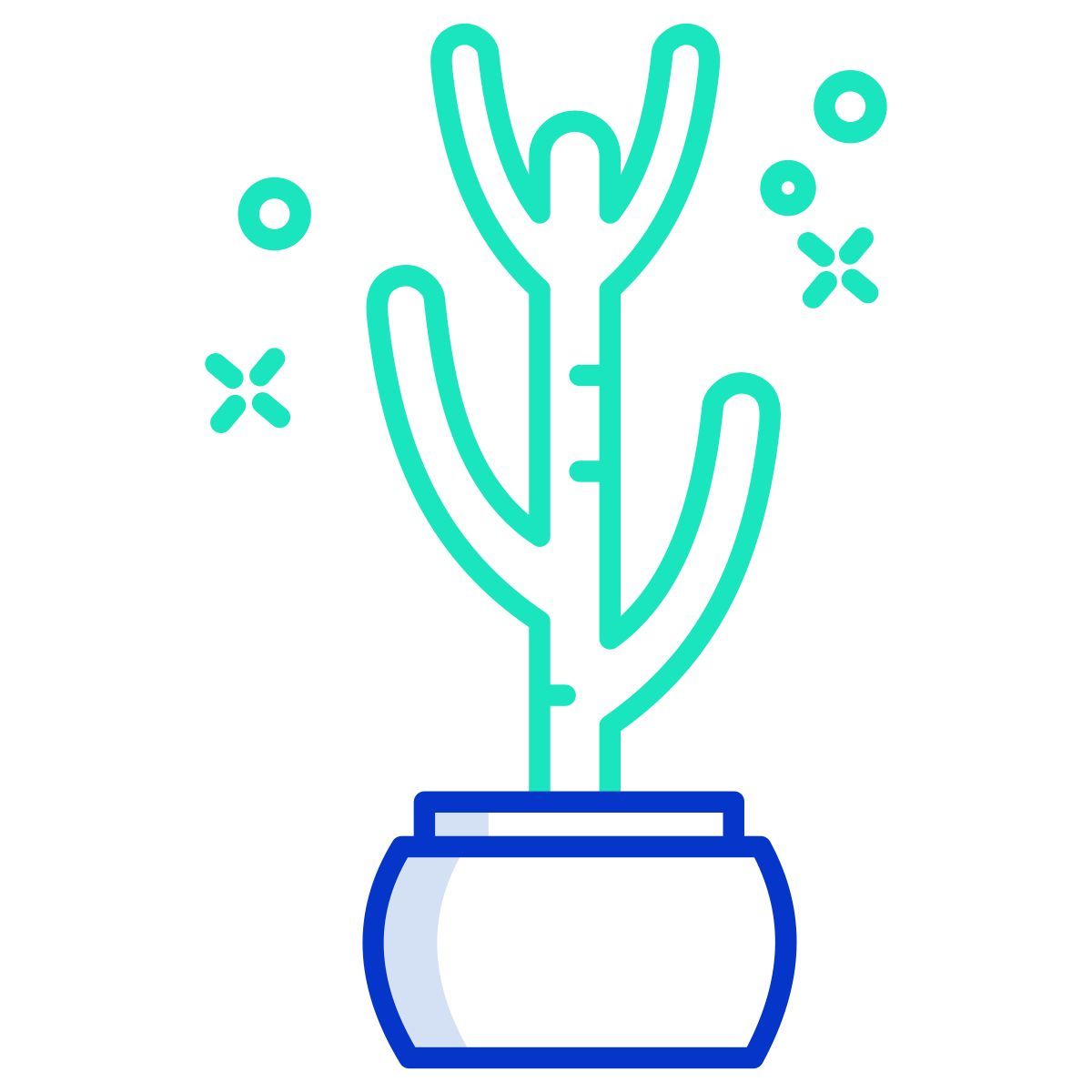 cactus icon