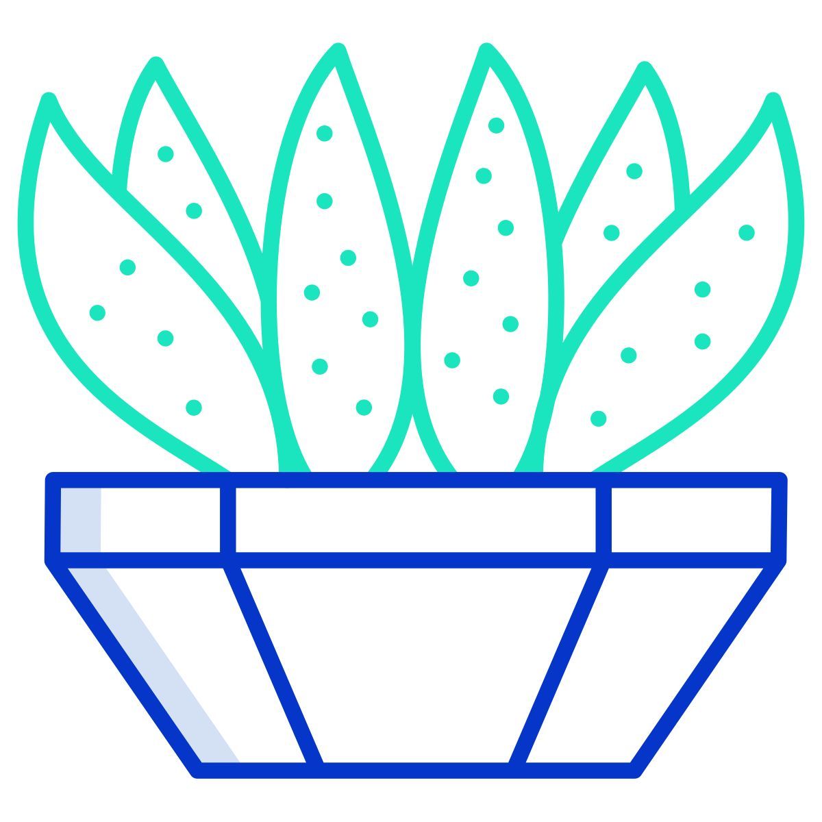 cactus icon