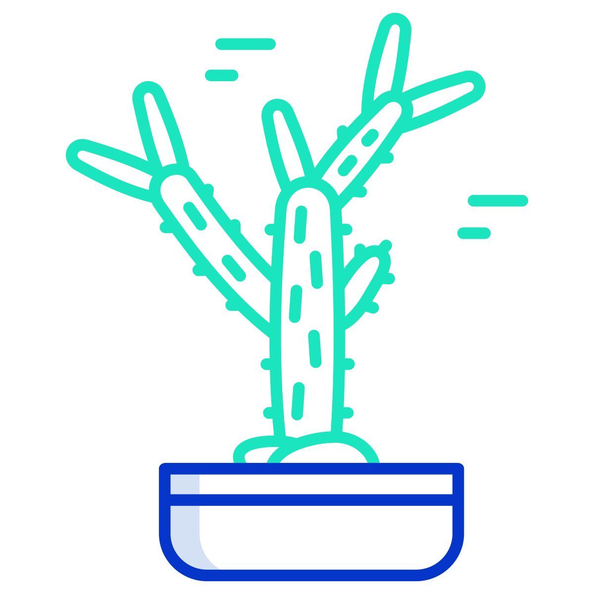 cactus icon