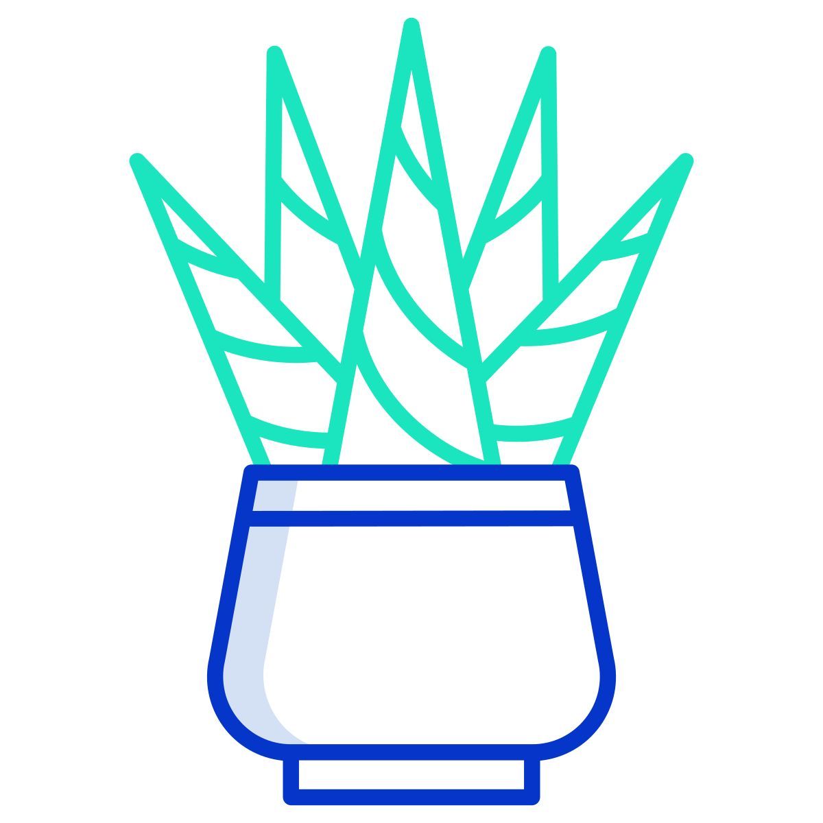 cactus icon