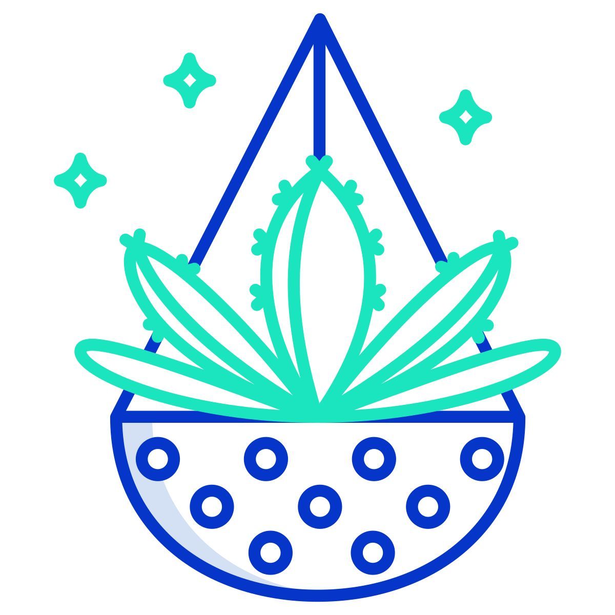 cactus icon