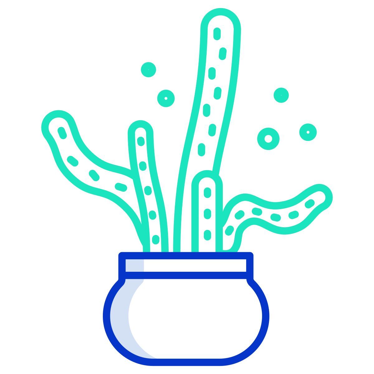 cactus icon