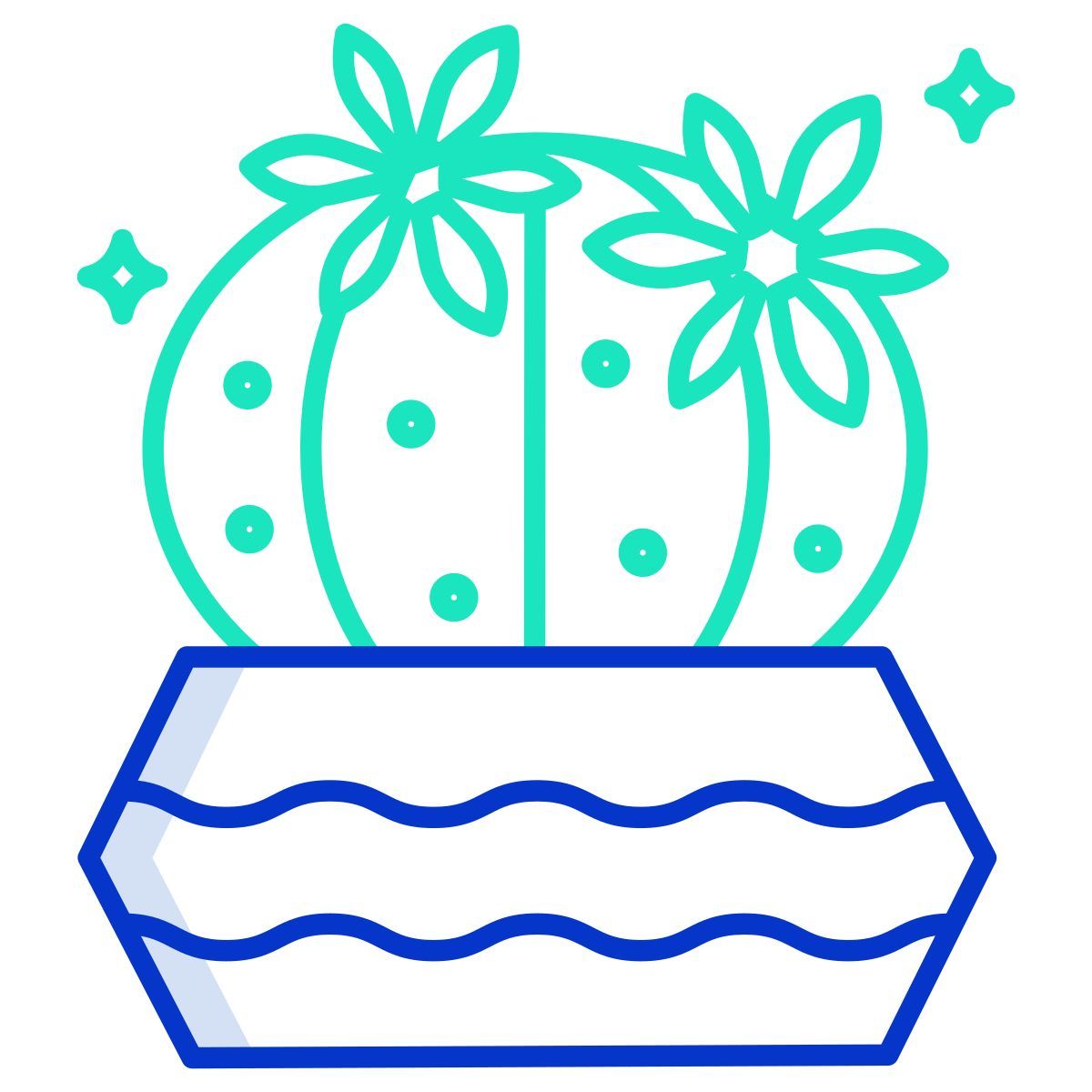 cactus icon