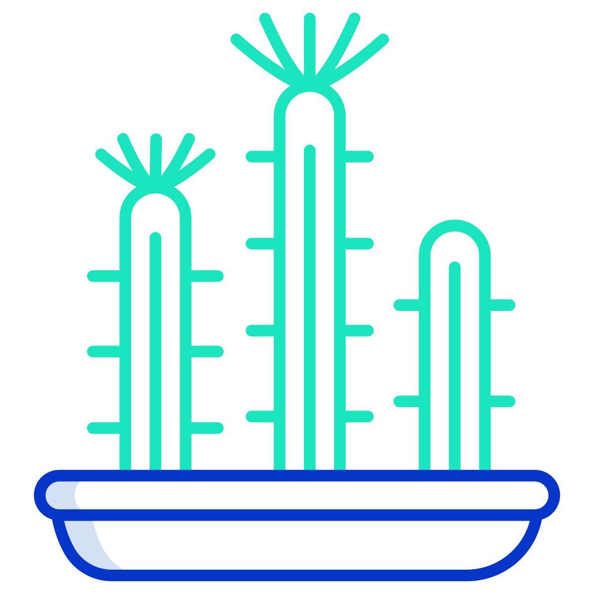 cactus icon
