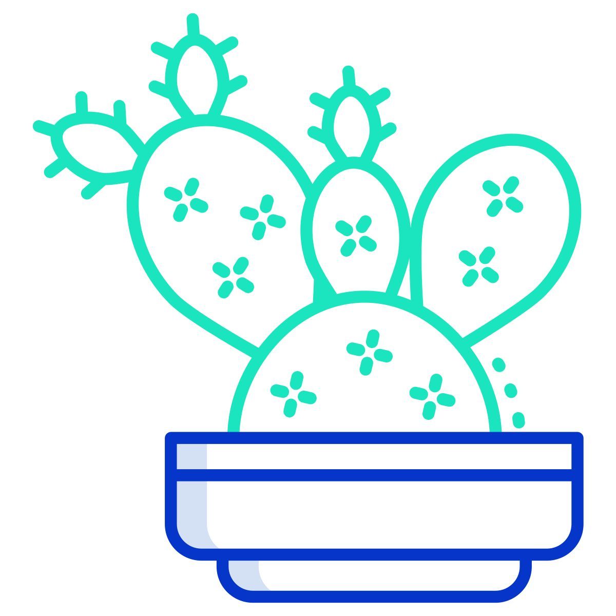 cactus icon