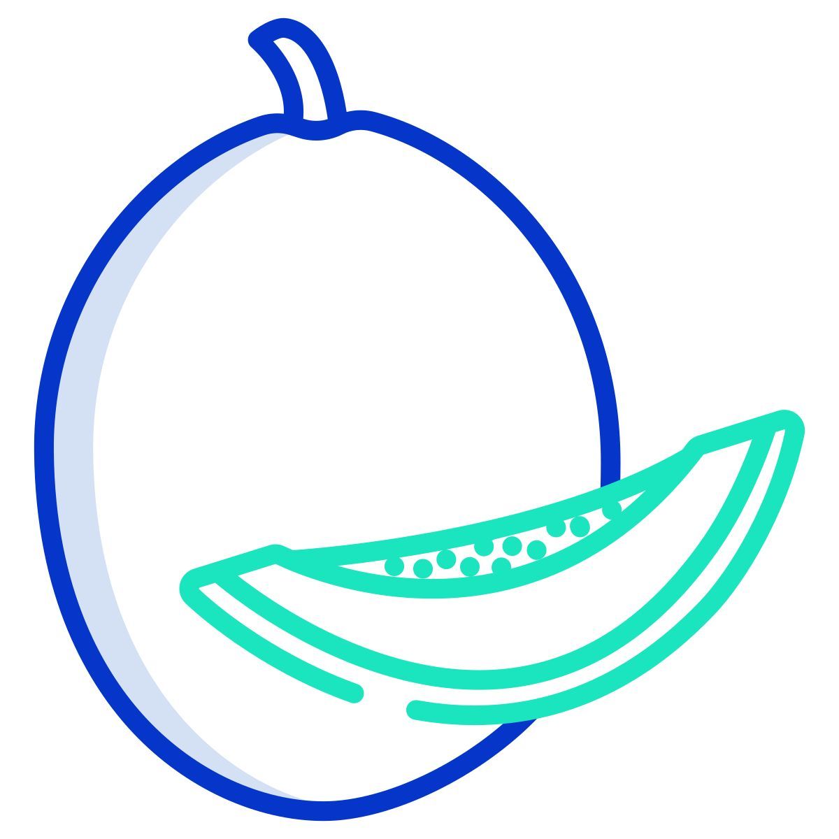cantaloup icon