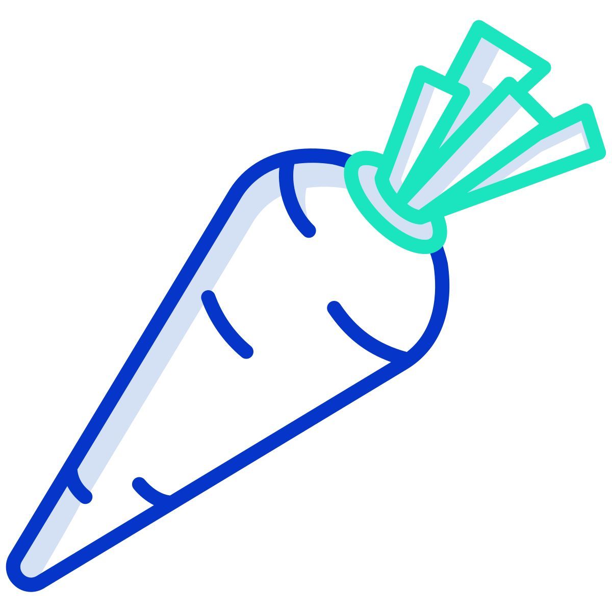 carrot icon