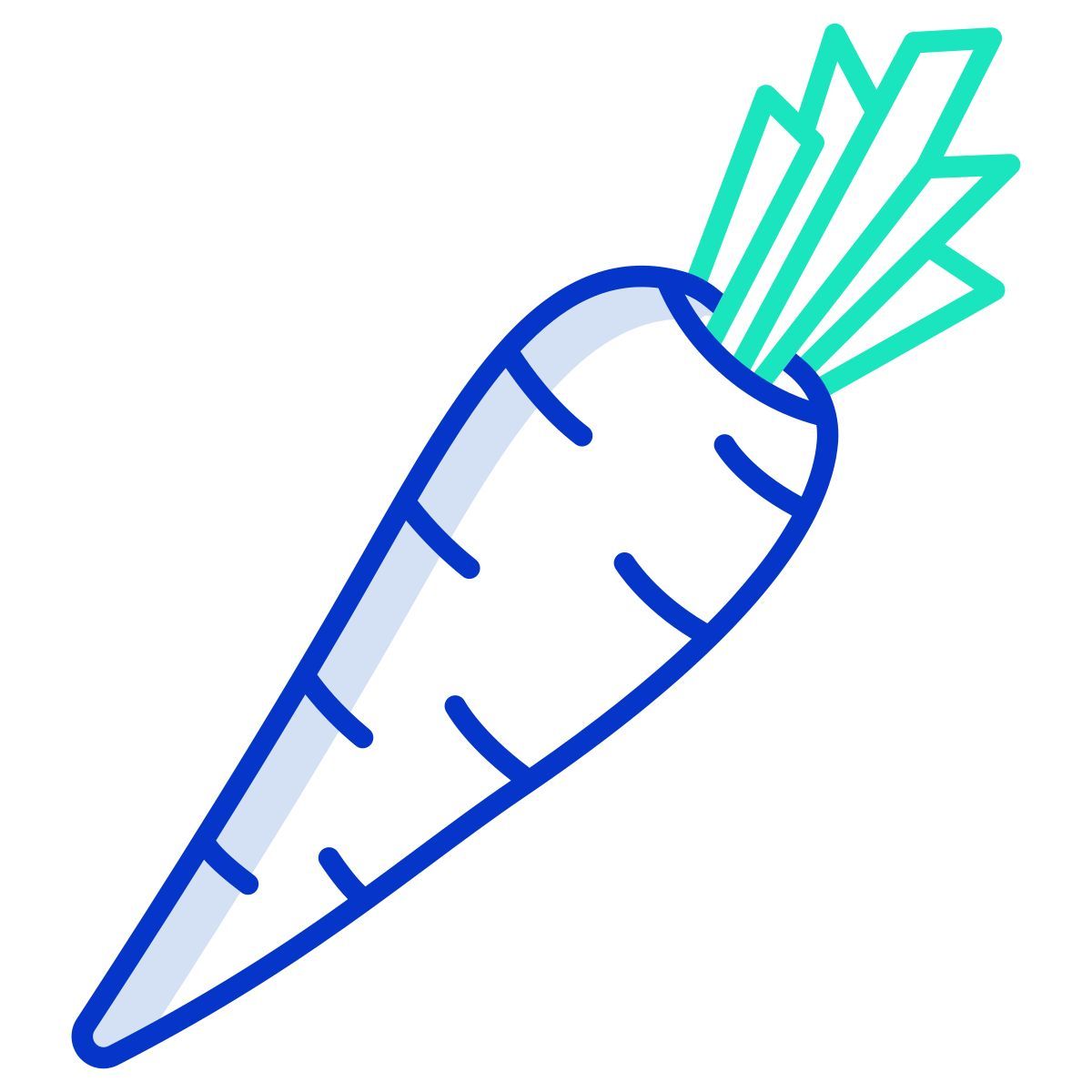 carrot icon