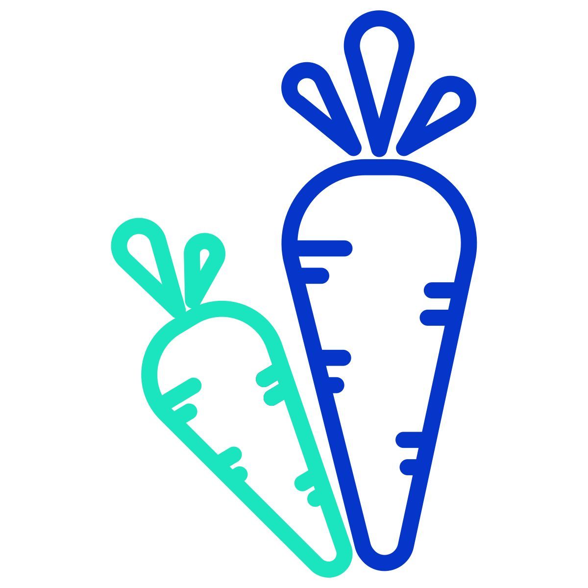 carrots icon