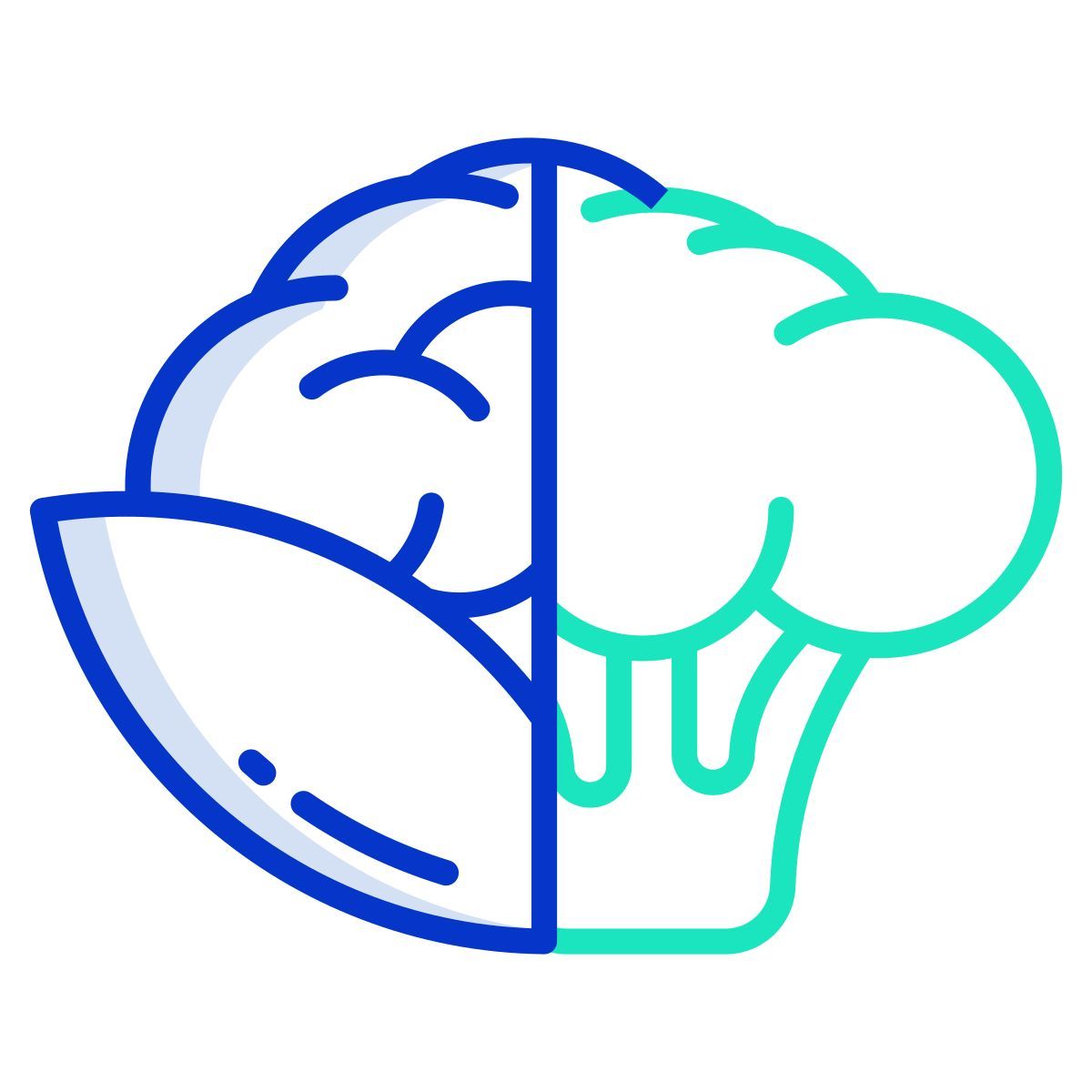 cauliflower icon