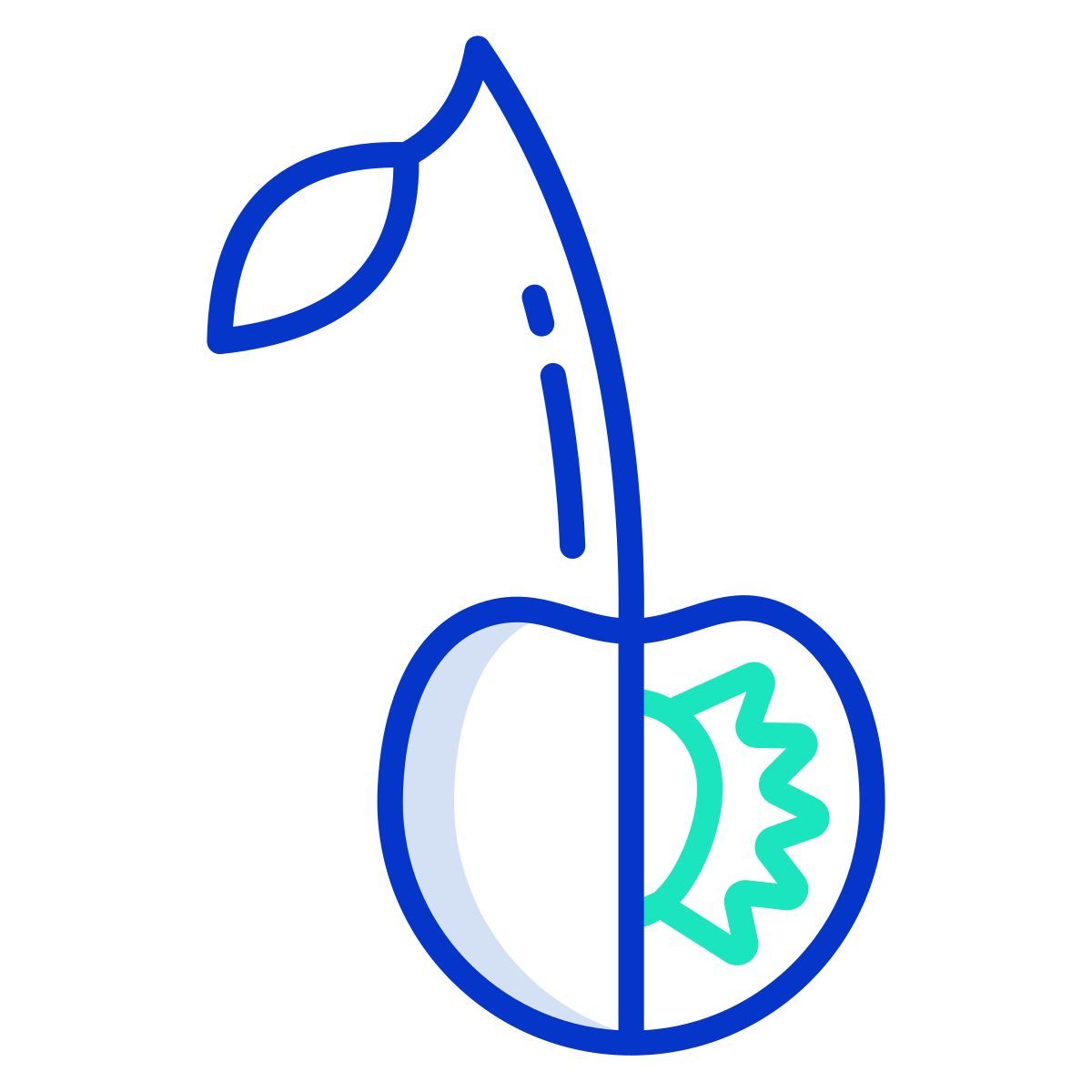 cherry icon