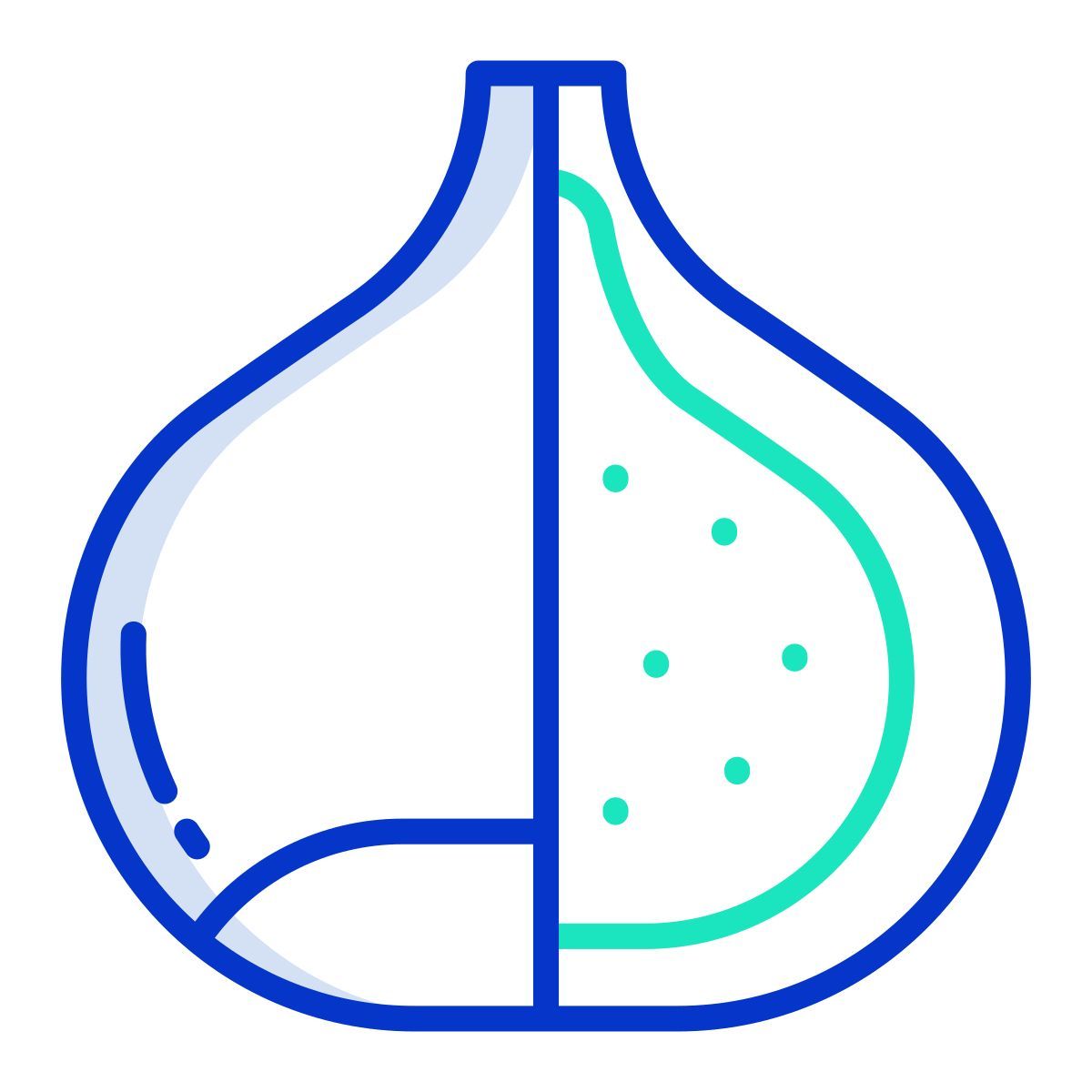 castanha icon