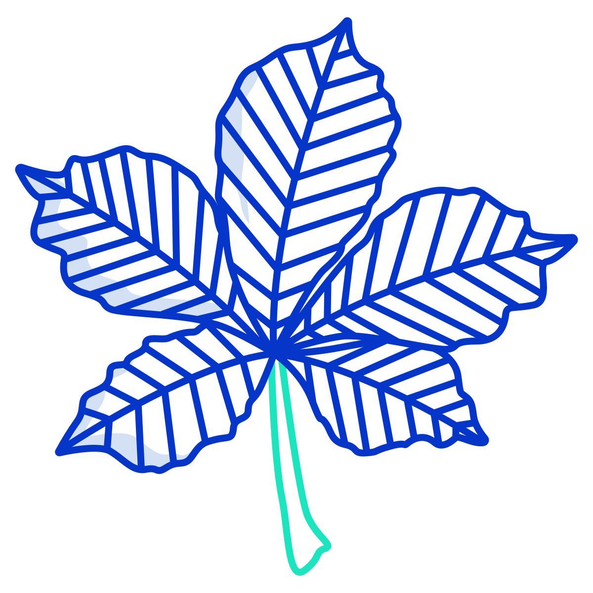 castanha icon