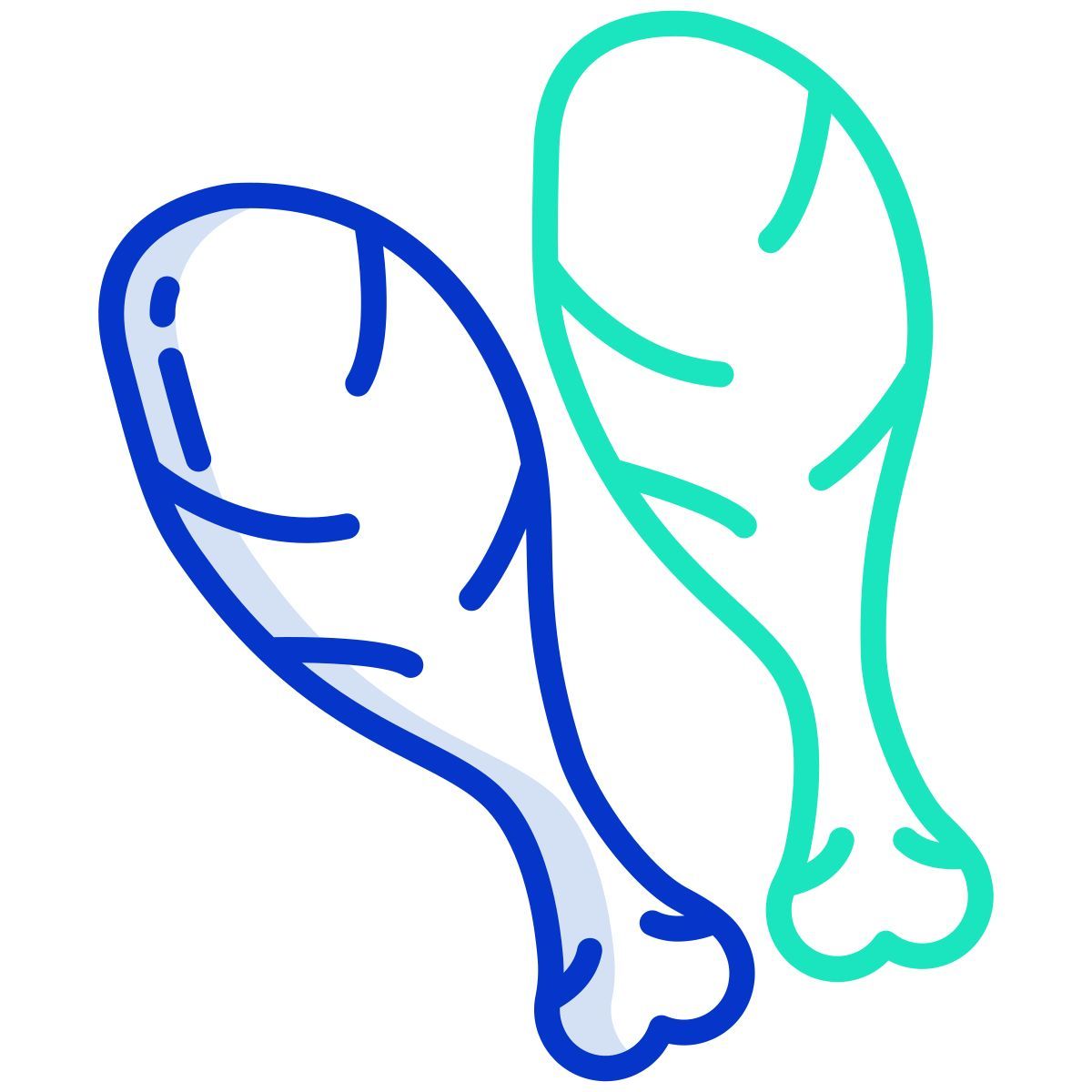 chicken leg icon