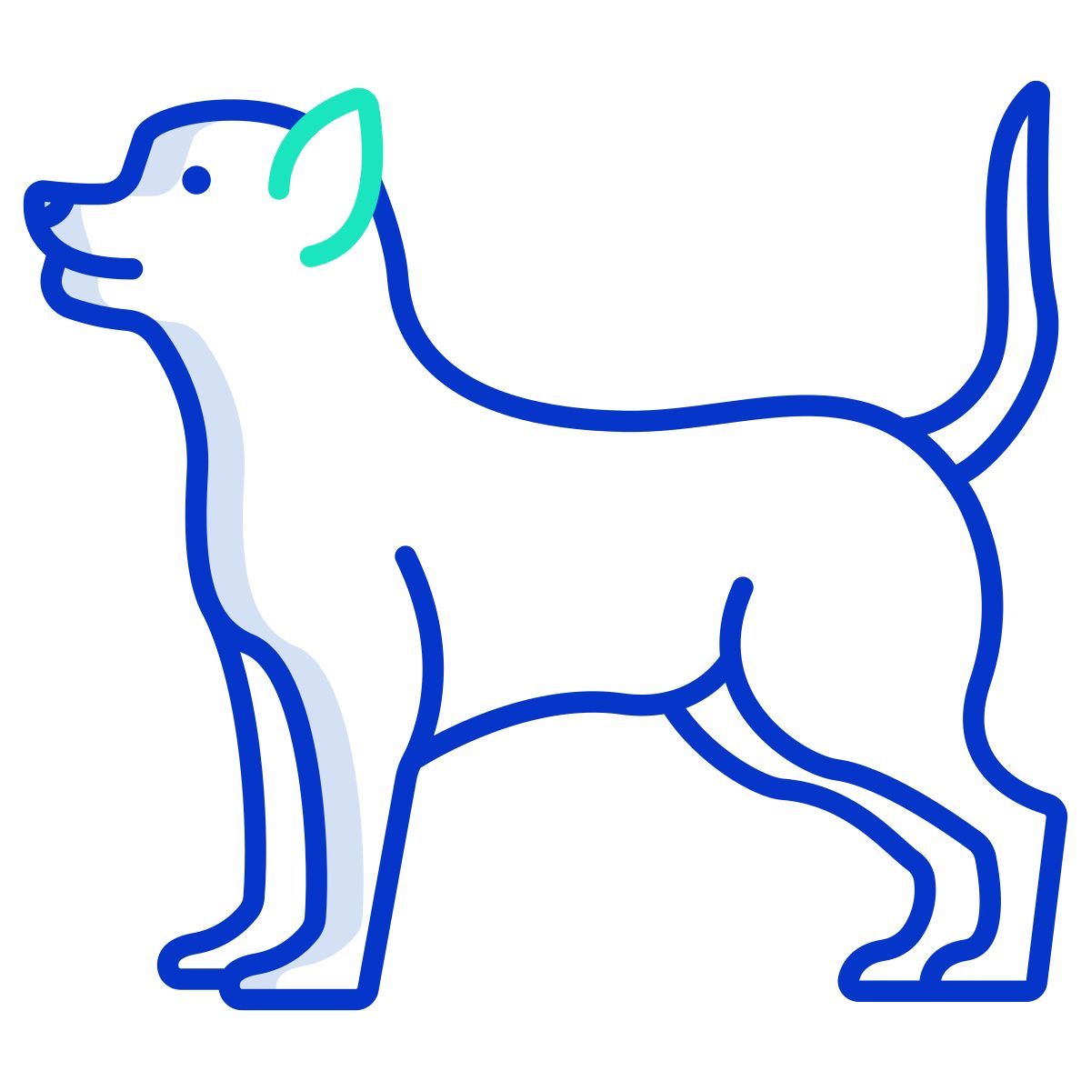 chihuahua icon
