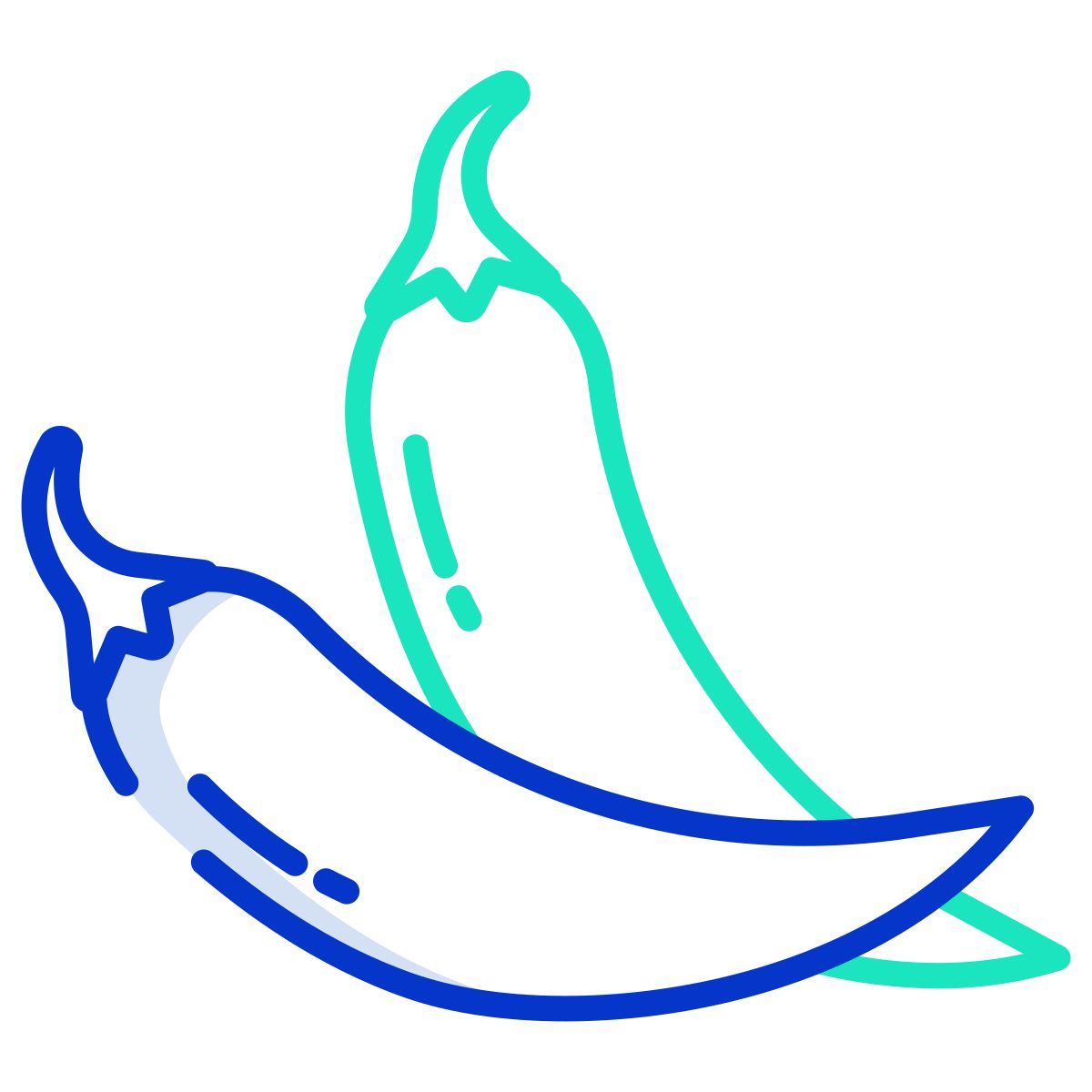 chili pepper icon