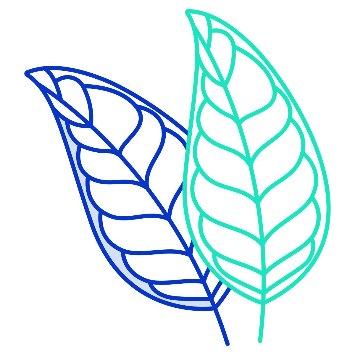 citrus icon