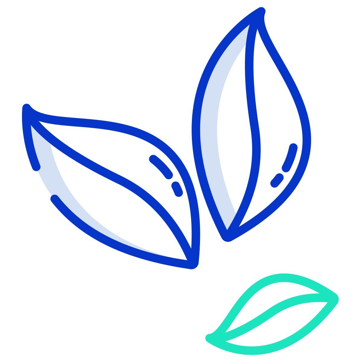 coca leaves icon