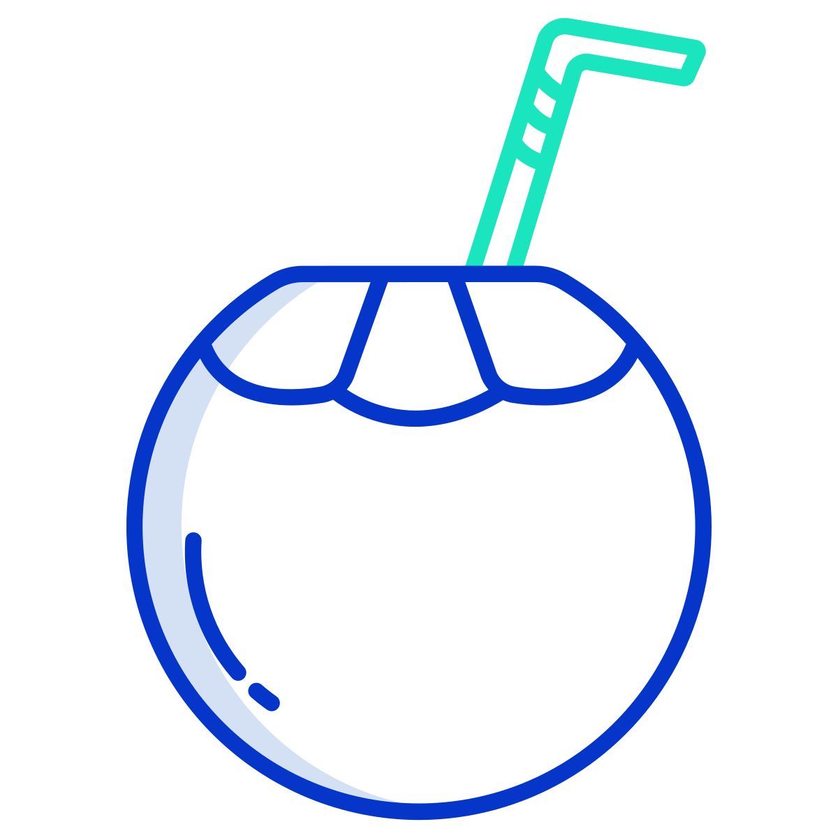 coconut drink icon